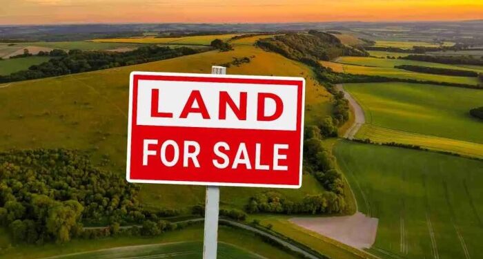 Cheap Land for Sale UK £1000 | Affordable Plots
