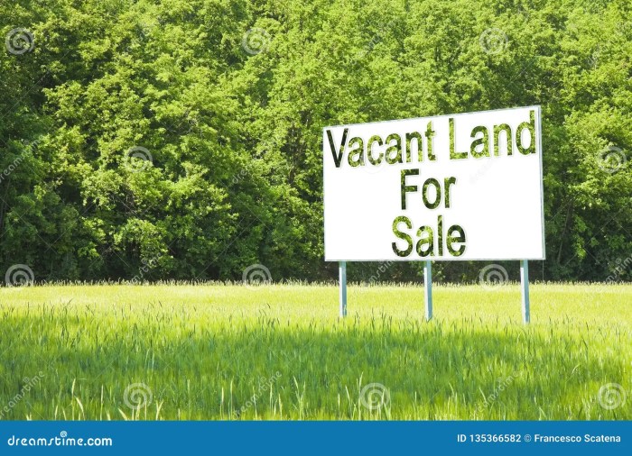 Vacant Land For Sale Against An Imaginary City Map - New Construction ... Vacant Land For Sale Against An Imaginary City Map - New Construction ...