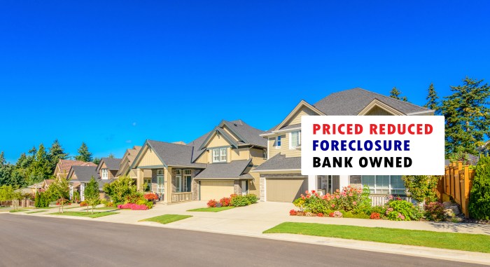 The Villages Foreclosures | The Villages San Jose Bank Owned Homes ... The Villages Foreclosures | The Villages San Jose Bank Owned Homes ...