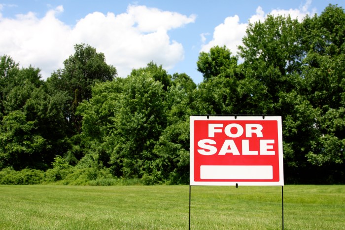 Why Buying Vacant Land Can Be an Incredible Real Estate Investment ... Why Buying Vacant Land Can Be an Incredible Real Estate Investment ...